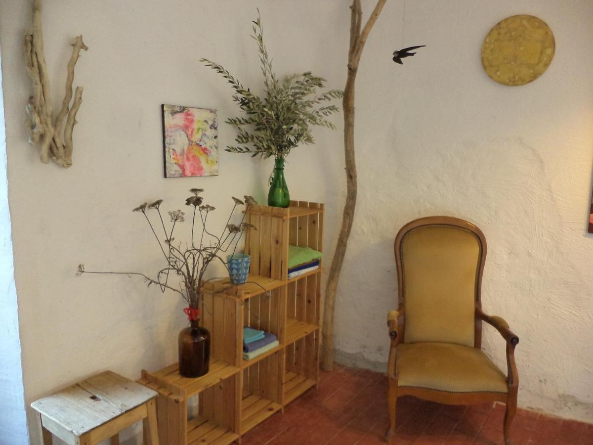 B&B Casa Codega Intragna Exteriör bild