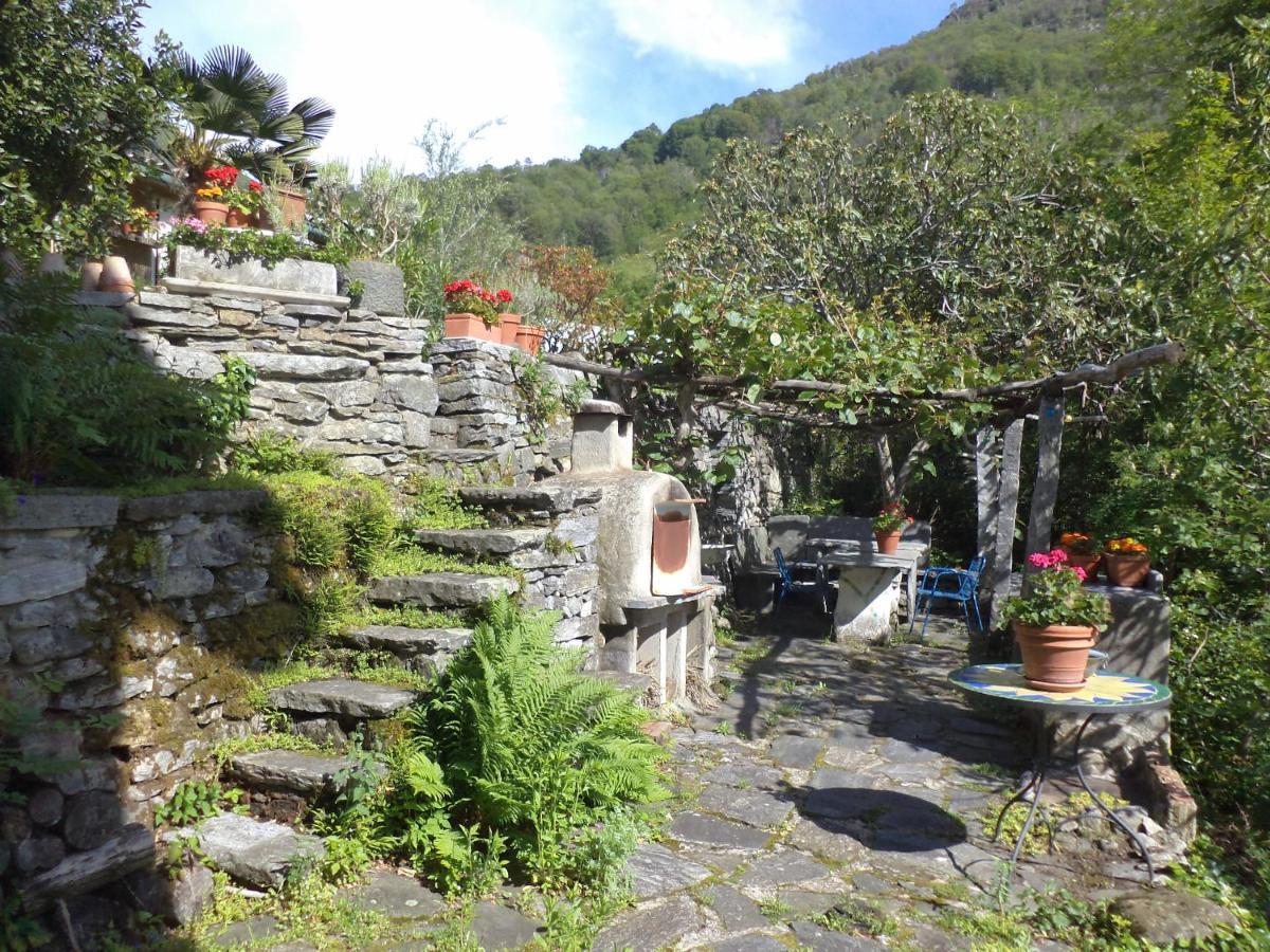 B&B Casa Codega Intragna Exteriör bild