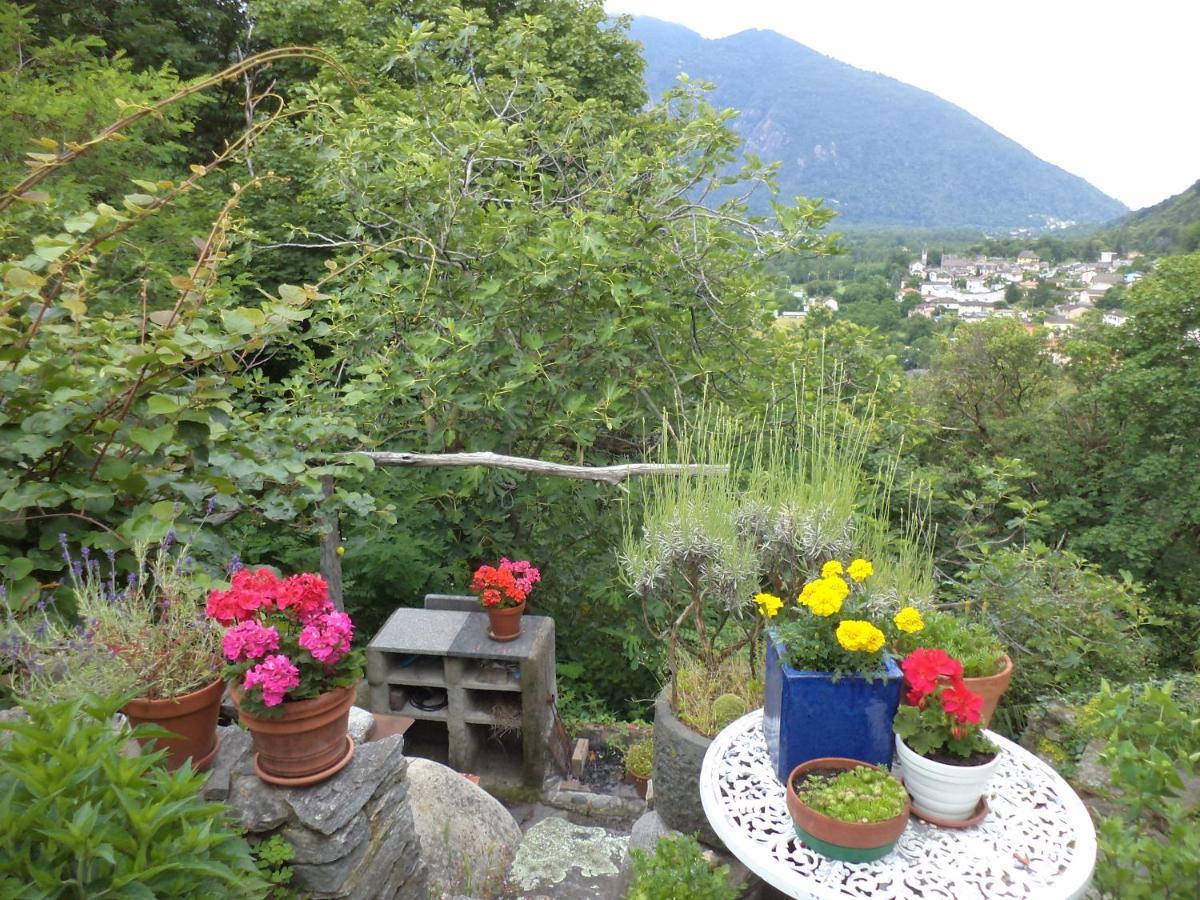 B&B Casa Codega Intragna Exteriör bild