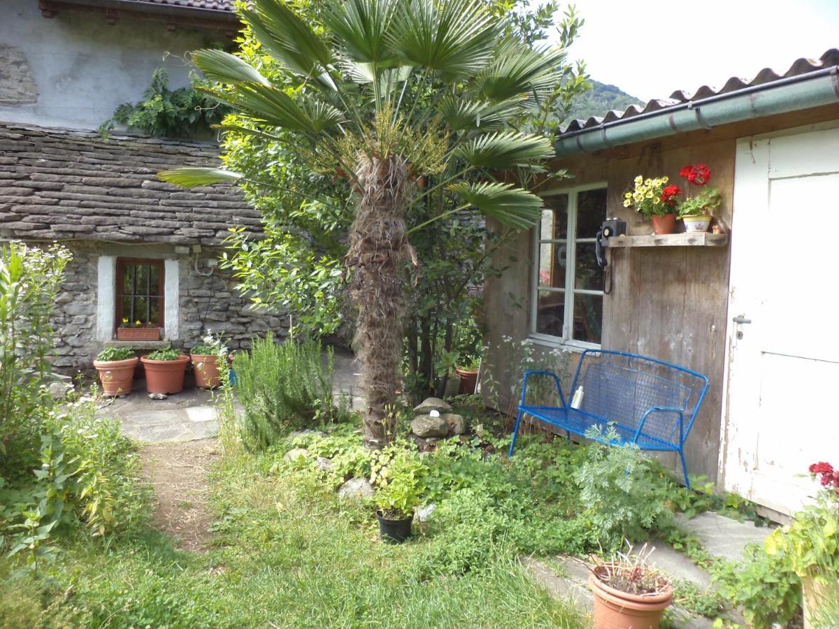B&B Casa Codega Intragna Exteriör bild