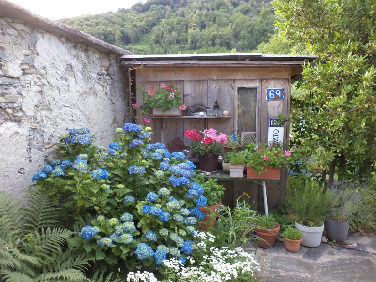 B&B Casa Codega Intragna Exteriör bild